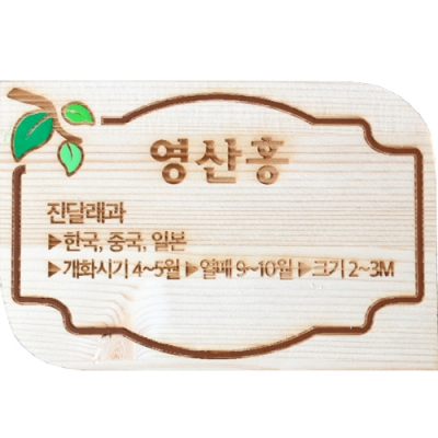 수목표찰 - C-002