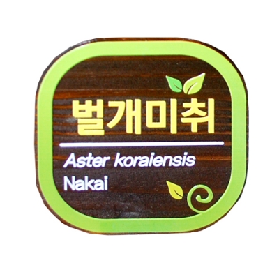 수목표찰 - C-004
