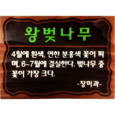 수목표찰 - C-006
