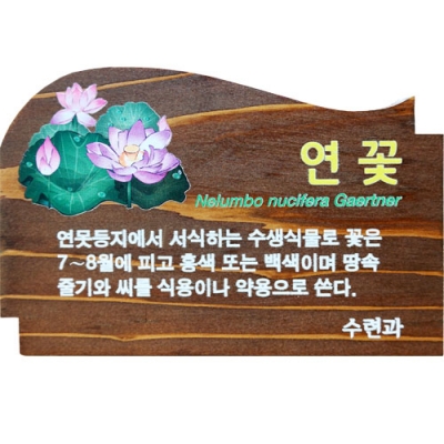 수목표찰 - C-009