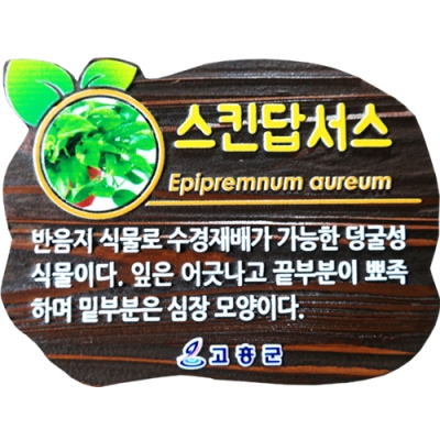 수목표찰 - C-014