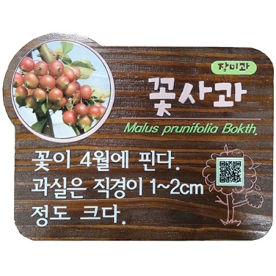 수목표찰 - C-026