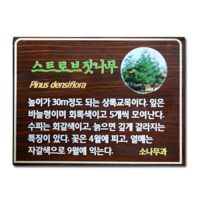 수목표찰 - C-027