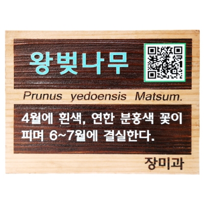 수목표찰 - C-028